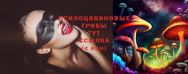 скорость Ельня