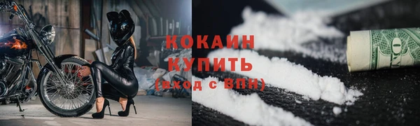 ГАЛЛЮЦИНОГЕННЫЕ ГРИБЫ Елабуга