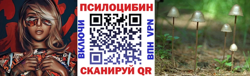 Псилоцибиновые грибы мухоморы  Купить закладки  Железноводск 